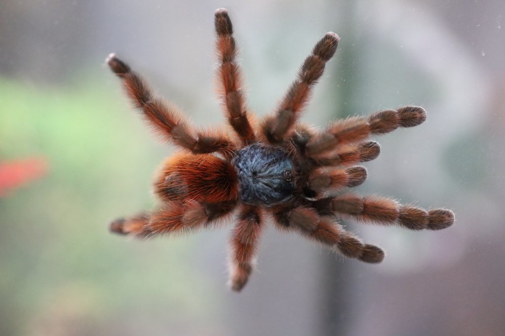 The Invisible Dangers of Stagnant&nbsp;Air